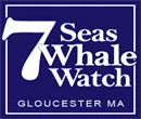 Seven Seas Whale Watch