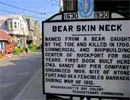 Bear Skin Neck